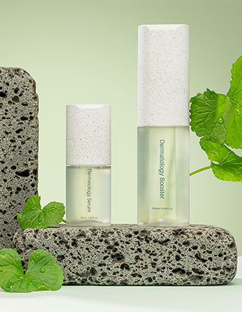 Dermatology First Package - ICD (InCellDerm)